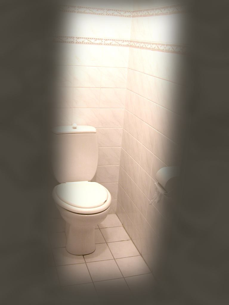 Toilet porn gallery № 1283523 » 100% Fapability Porn