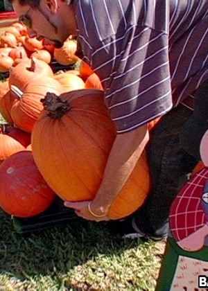 Bus porn gallery № 2428797