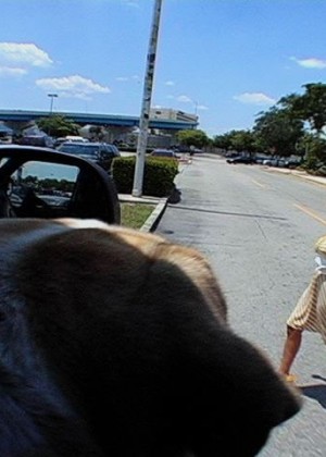 Bus porn gallery № 2465933